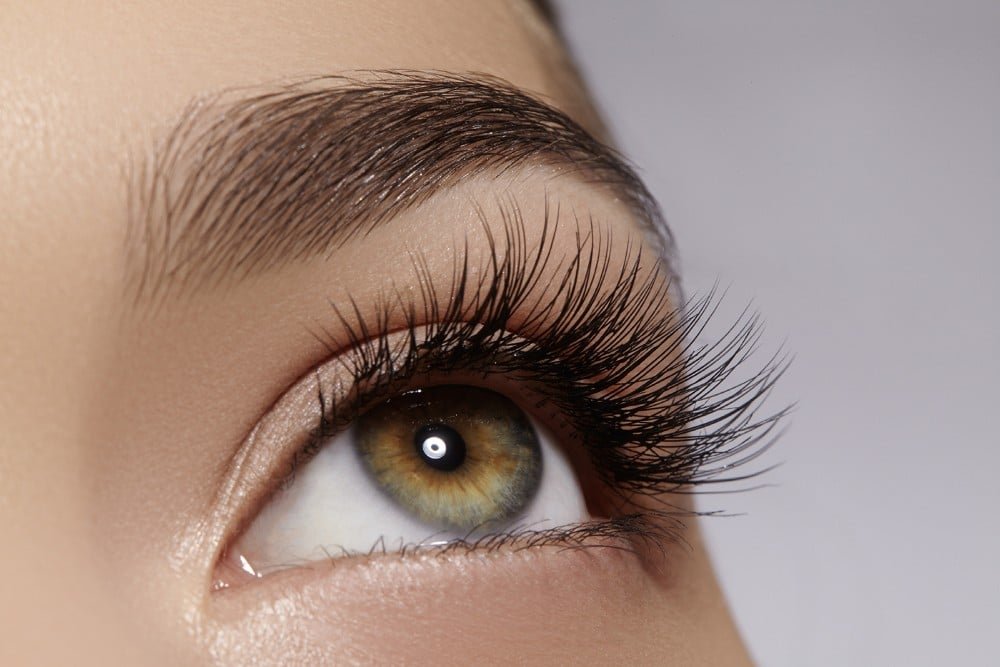 Lash Services
